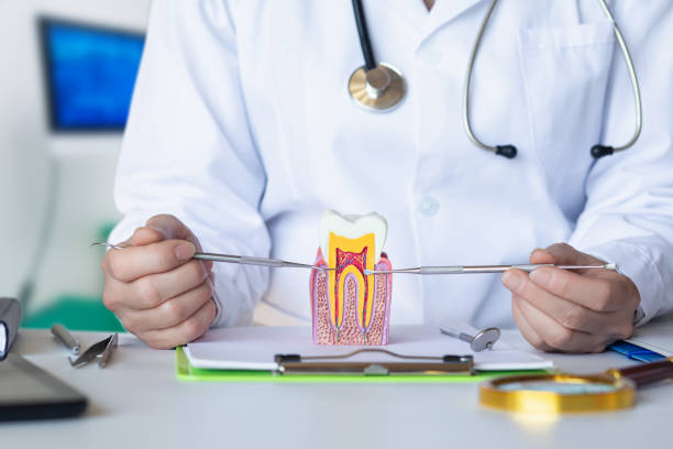 Best Emergency Treatment for Toothache in Hays, MT